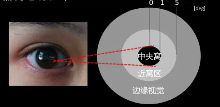 eye