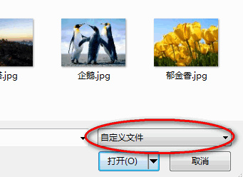 自定义文件