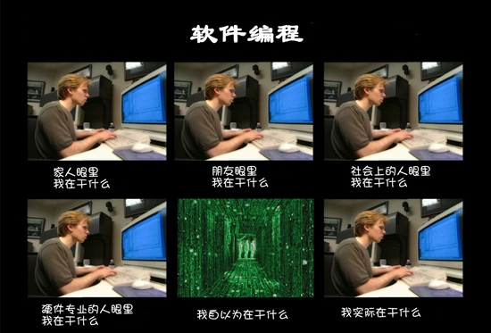 有关于程序员的漫画四幅：要钱还是要命？