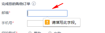 原生表单验证示意