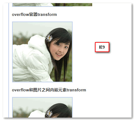 IE9浏览器下截图